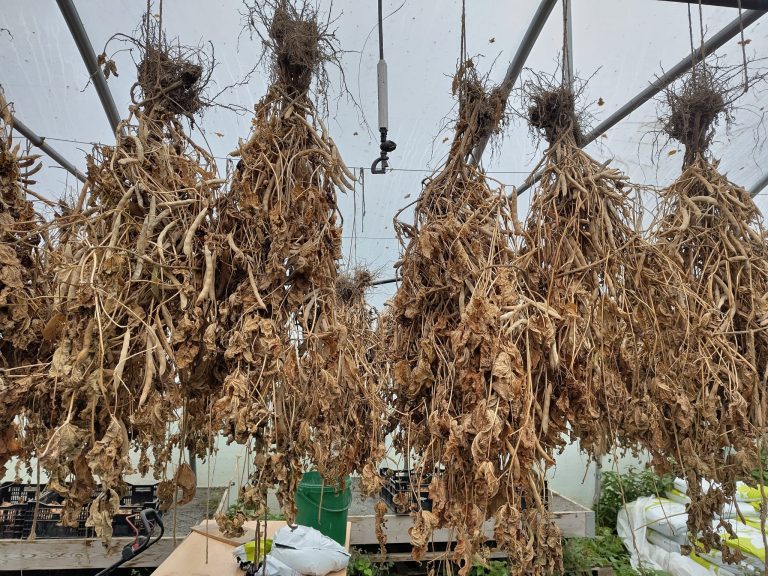 23.10.2025 Neue Hofpost