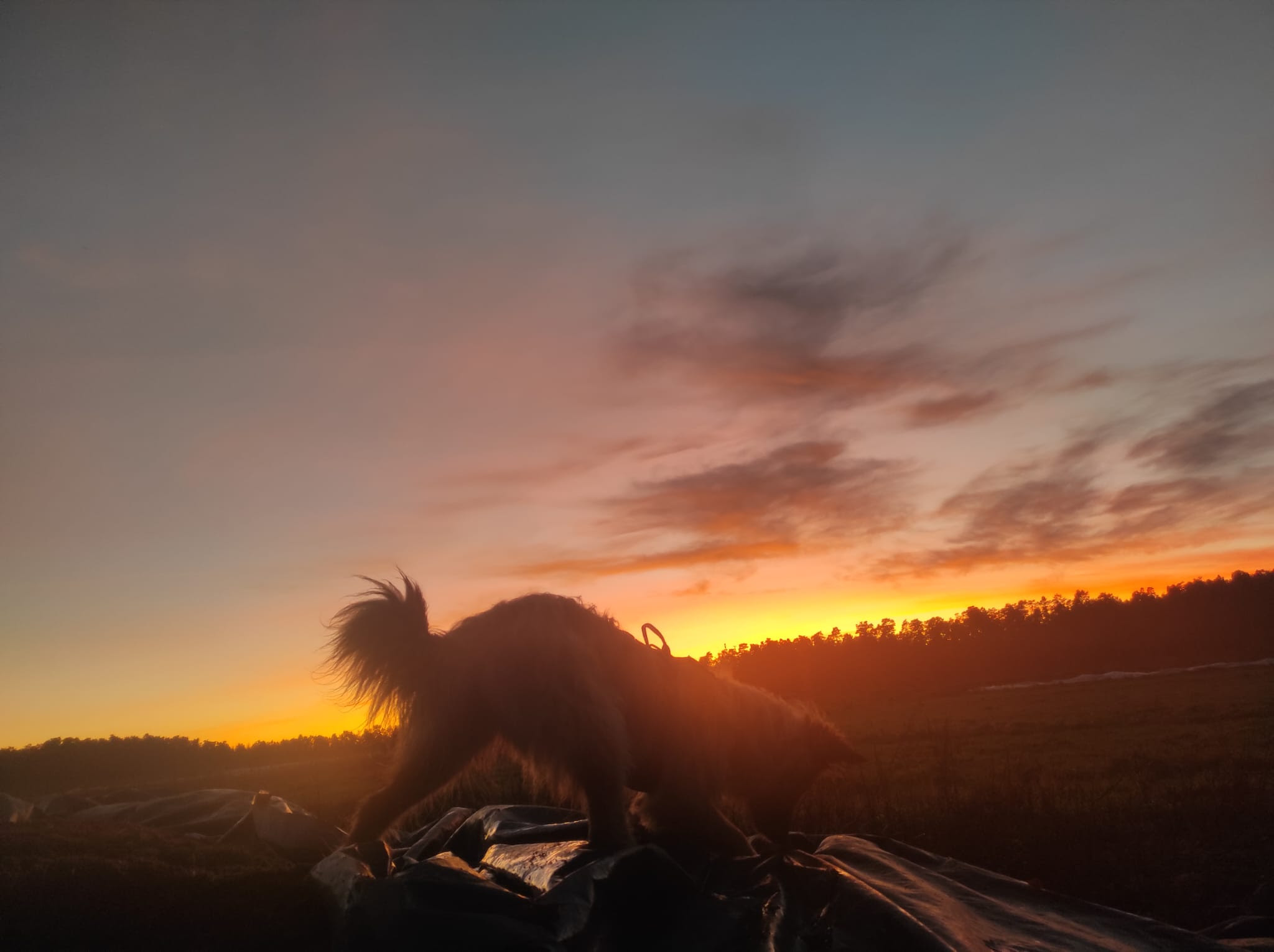 Am Hof in der Abenddämmerung