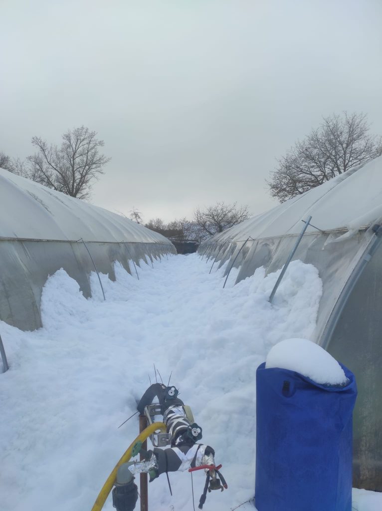 Schnee auf den Folienzelten der alawi Kammerstein