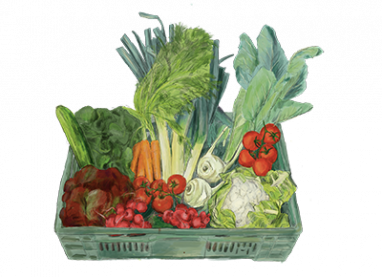 die Gemüsekiste für alle Ernteteiler:innen der alawi Am Hof