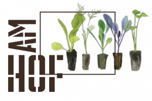 Jungpflanzenmarkt in kammerstein