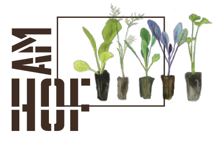 Jungpflanzenmarkt in kammerstein