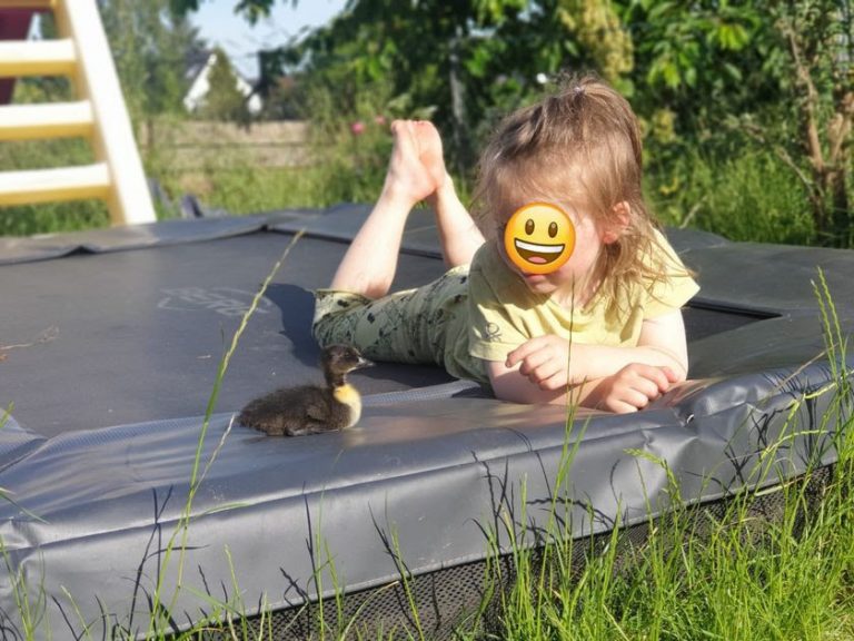 Ernteteilerkind mit Küken