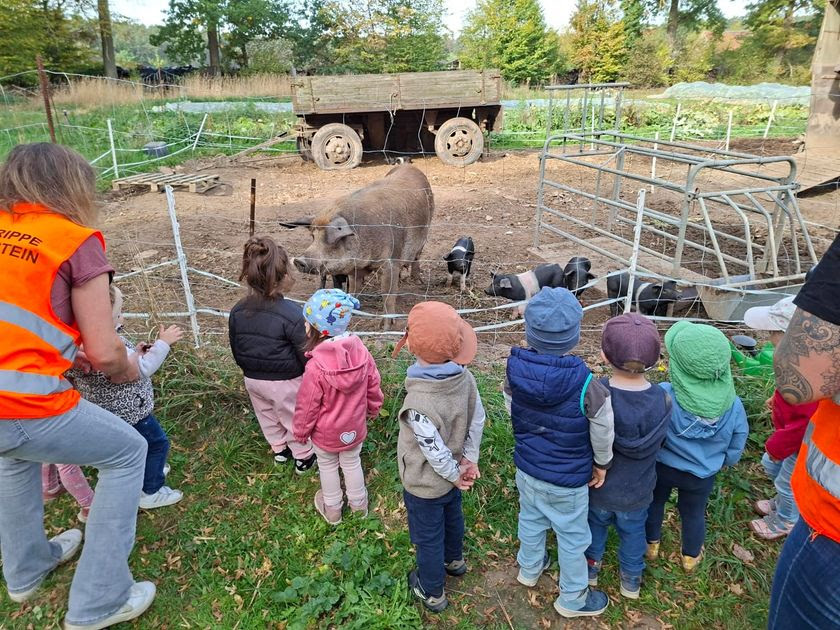 Der Kindergarten in Kammerstein besucht unsere Ferkel